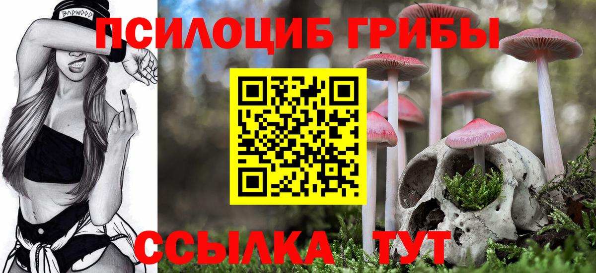 Псилоцибиновые грибы мицелий Моздок